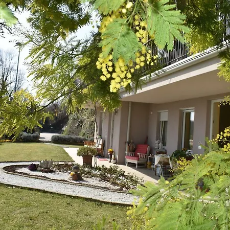 Hotel apartamentowy Mimosa